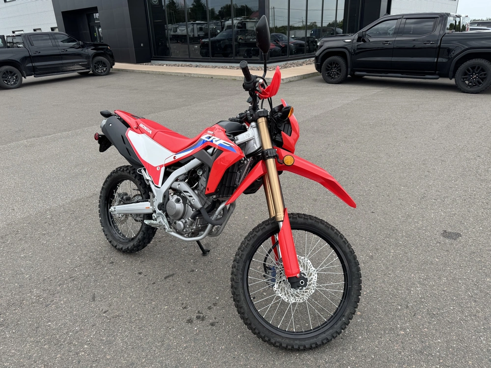 2024 Honda Crf300l alt