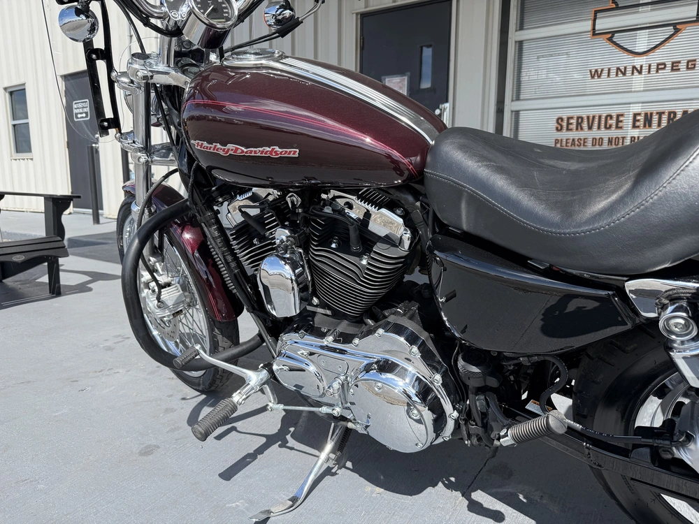 2006 Harley-davidson Sportster 1200 Custom alt