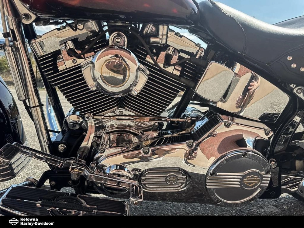 2006 Harley-davidson Flstci - Heritage Softail Classic alt