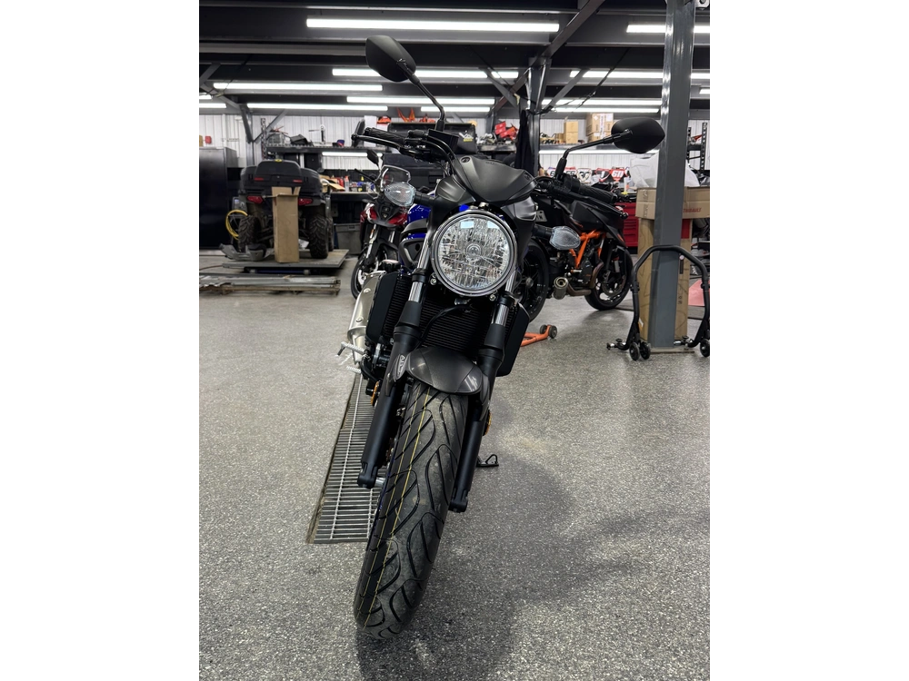 2025 Suzuki Sv650am5 alt