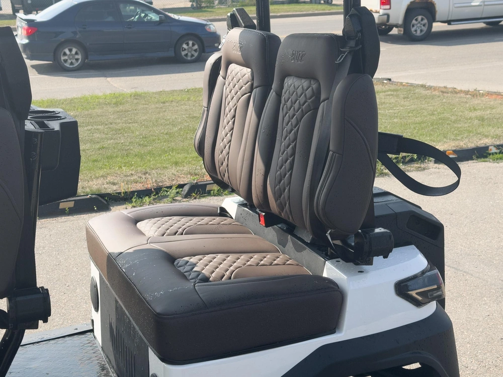 2026 Buzz G4 Standard alt