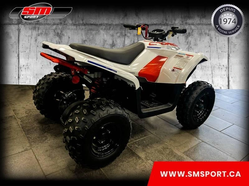 Cfmoto Cforce Ev 110 2024 alt