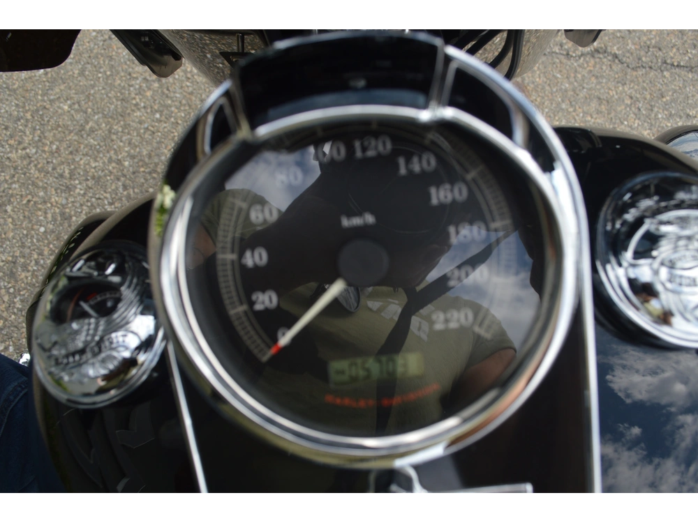 2010 Harley-davidson Flstn alt