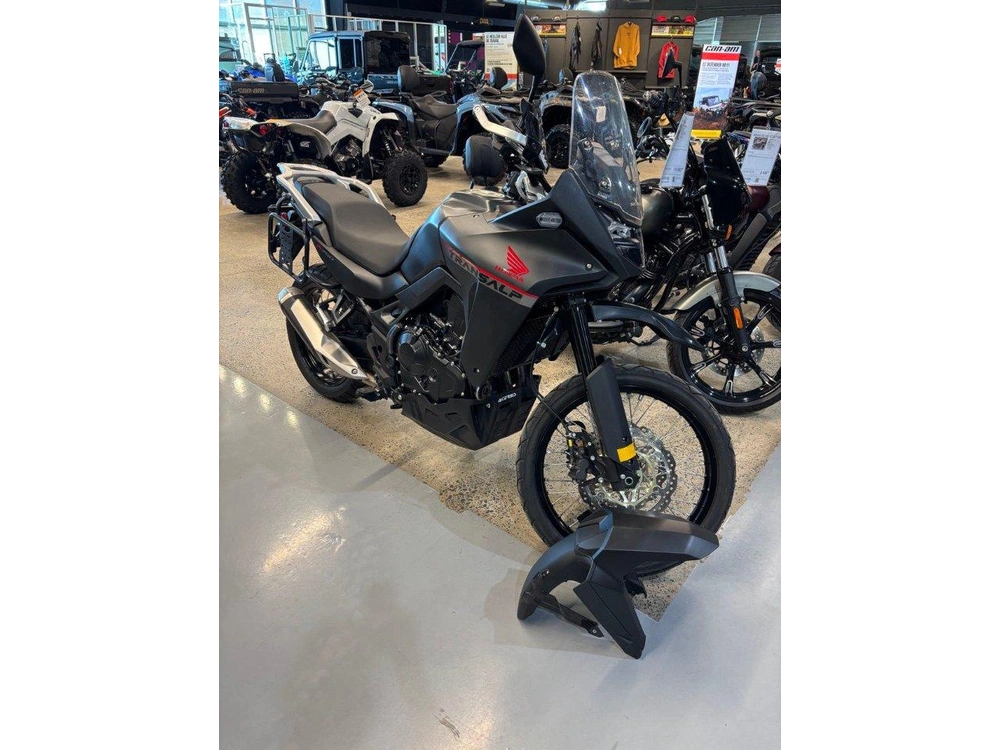 Honda Honda Xl750r 2024 2024 alt
