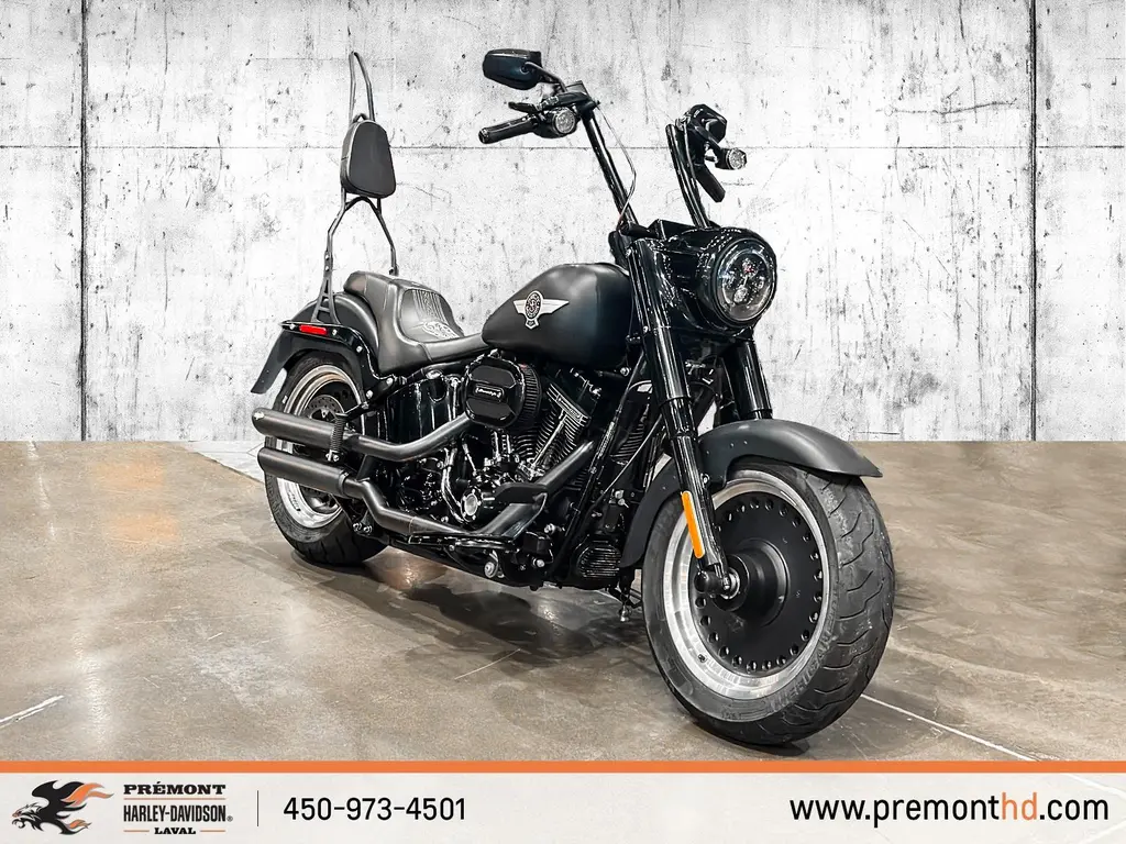 Harley-Davidson FAT BOY SFLSTFBS 2017