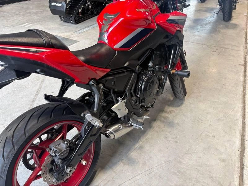 2022 Kawasaki Z650 50th Anniversaire Rouge alt