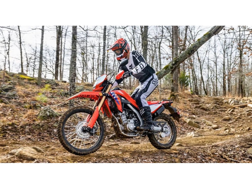 2025 Honda Crf300l Abs alt