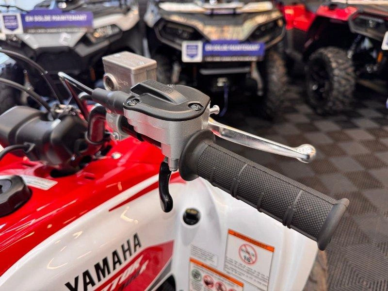 Yamaha Raptor 700r 2026 alt