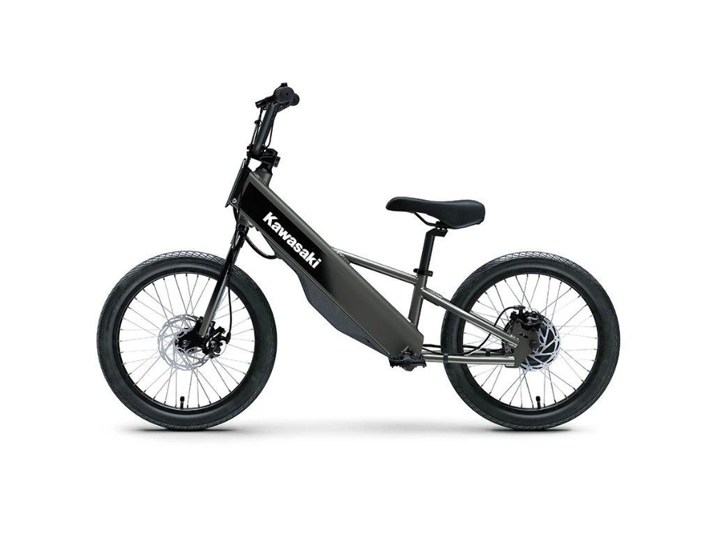 2027 Kawasaki Elektrode 20fs alt