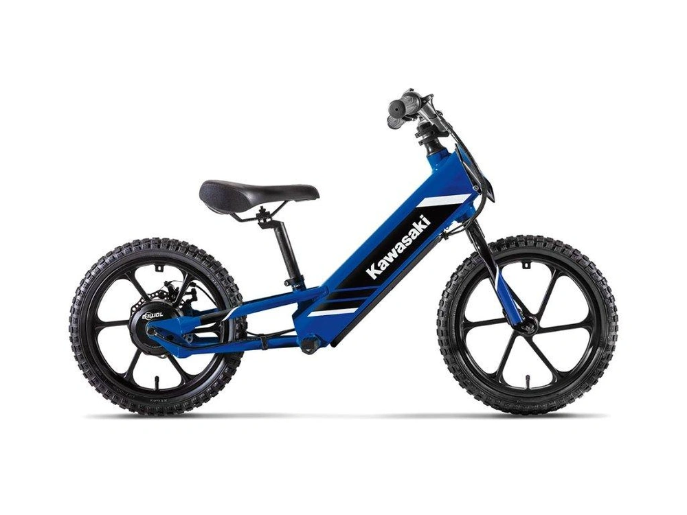 Kawasaki Elektrode 17 2027 alt