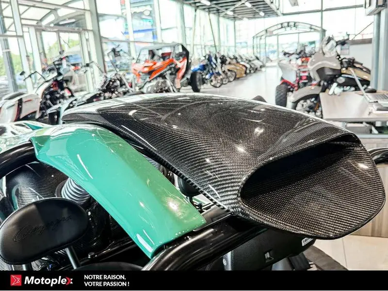 Campagna T-Rex RR 2026