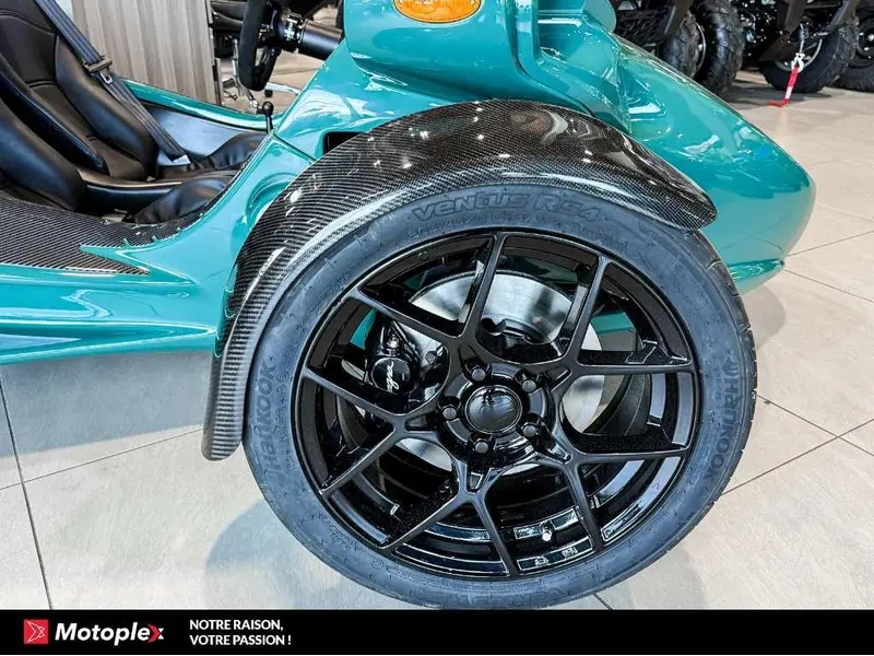 Campagna T-Rex RR 2026