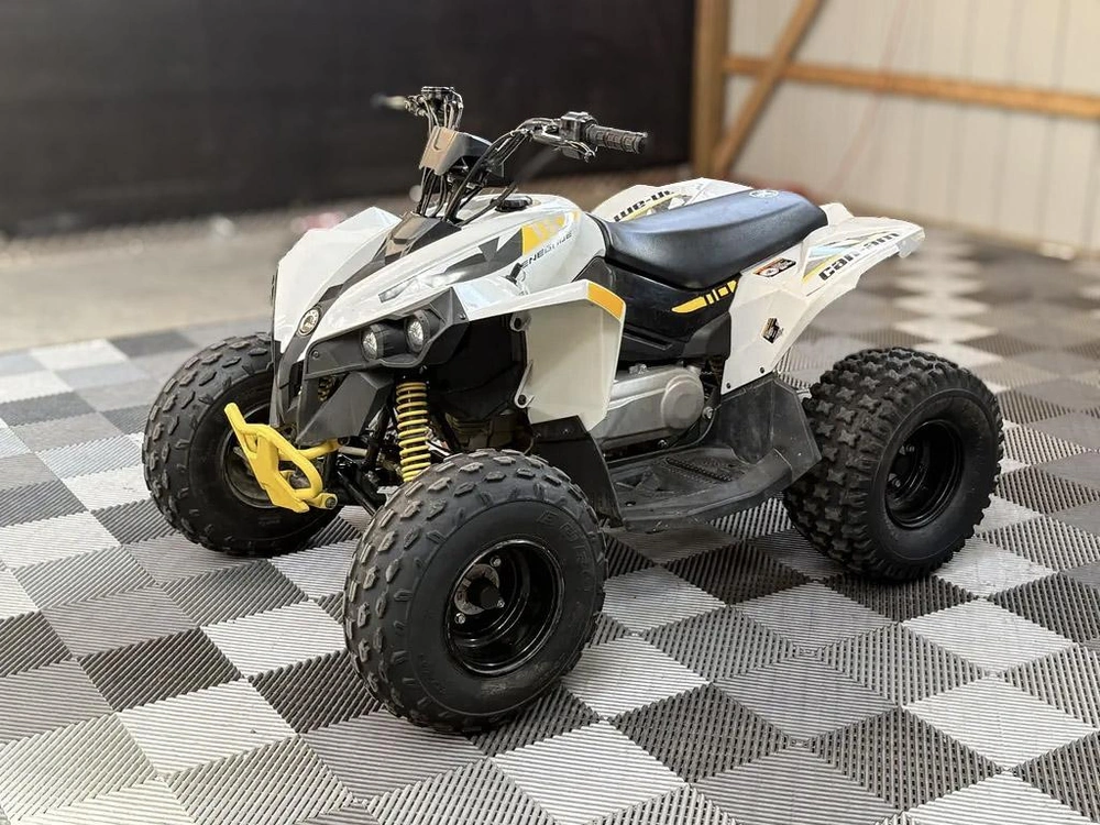 2024 Can-am Renegade 110 alt