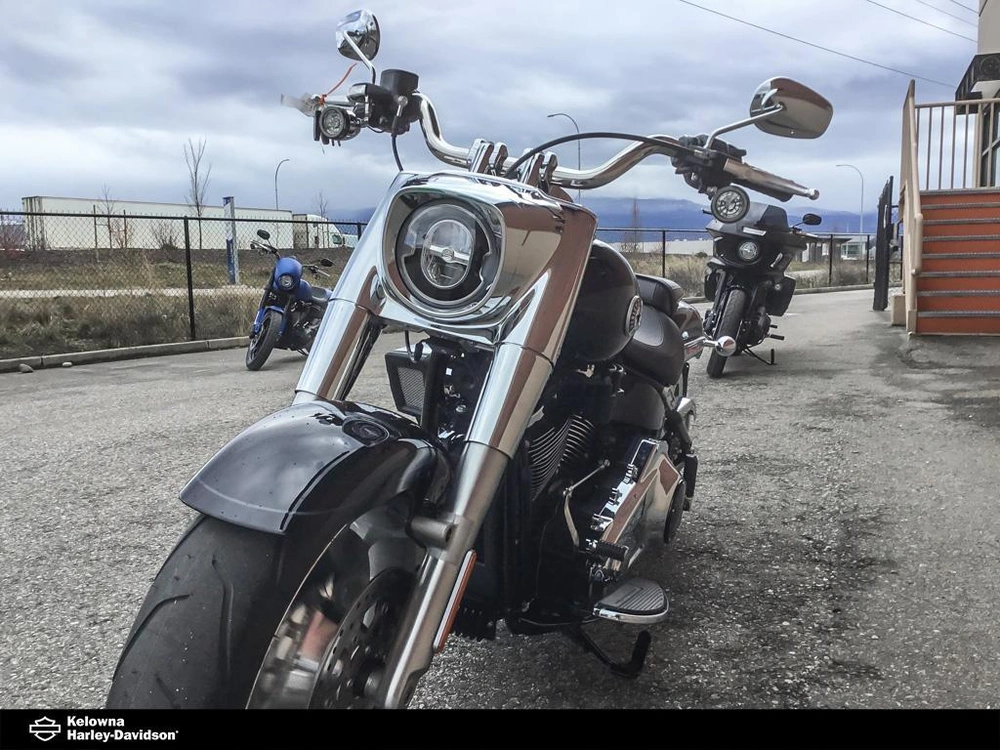 2026 Harley-davidson Flfb - Fat Boy® alt