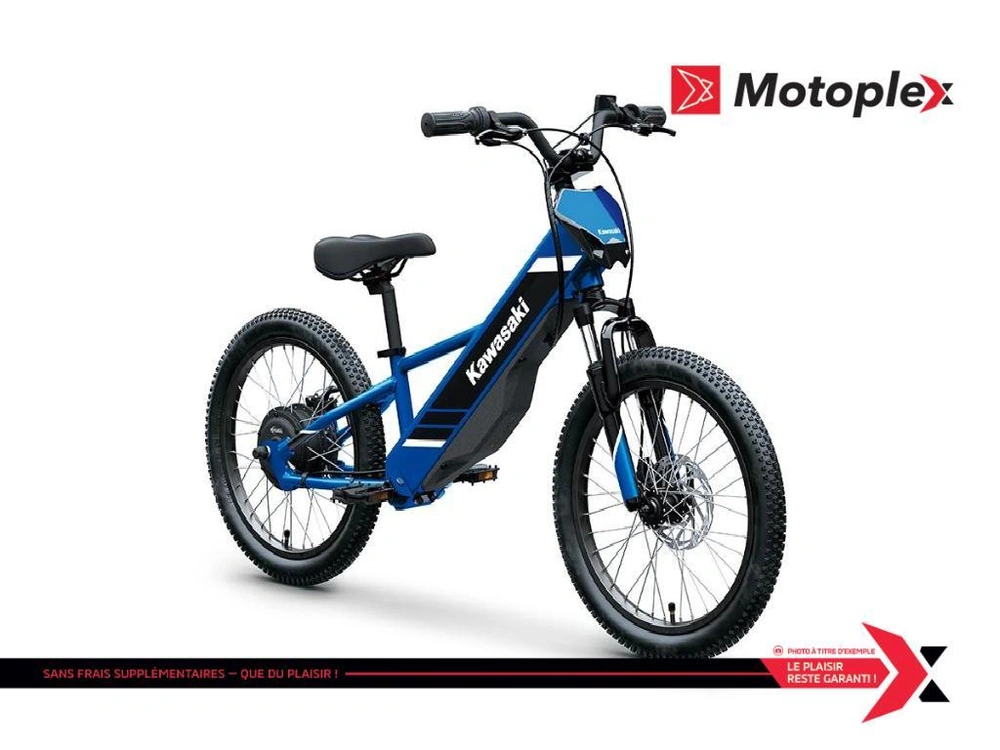 2027 Kawasaki Elektrode 21 alt