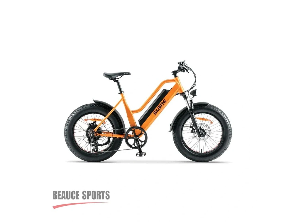 Slane Santiago Fat Mini | ❄ Fat-bike Compact Pneus 20"x4" Autonomie 50 Km Alternatives Radrover Aventon ❄ | 2025 alt