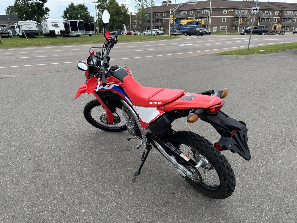 2024 Honda Crf300l alt