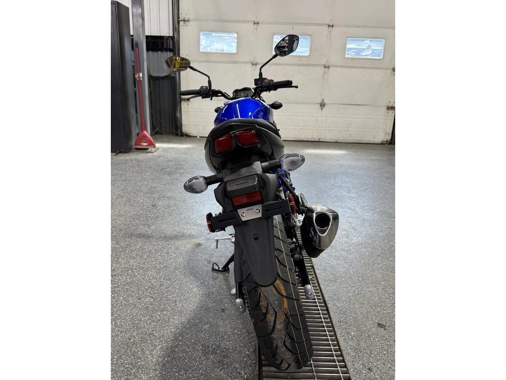 2025 Suzuki Sv650am5 alt