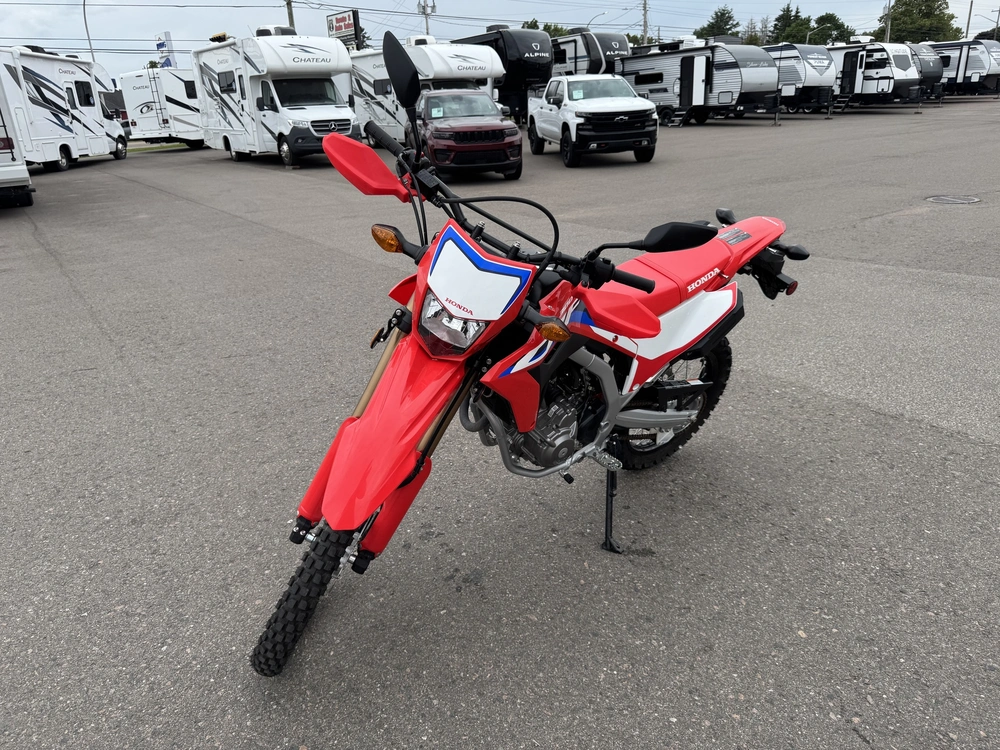 2024 Honda Crf300l alt