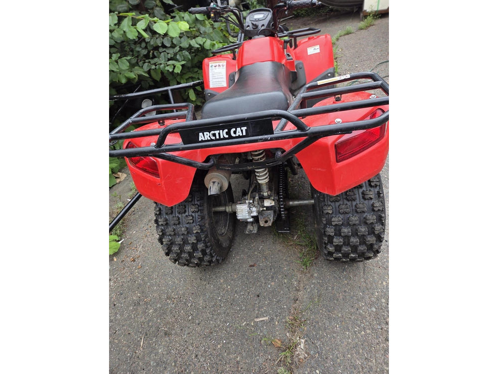 2019 Arctic Cat Alt 150