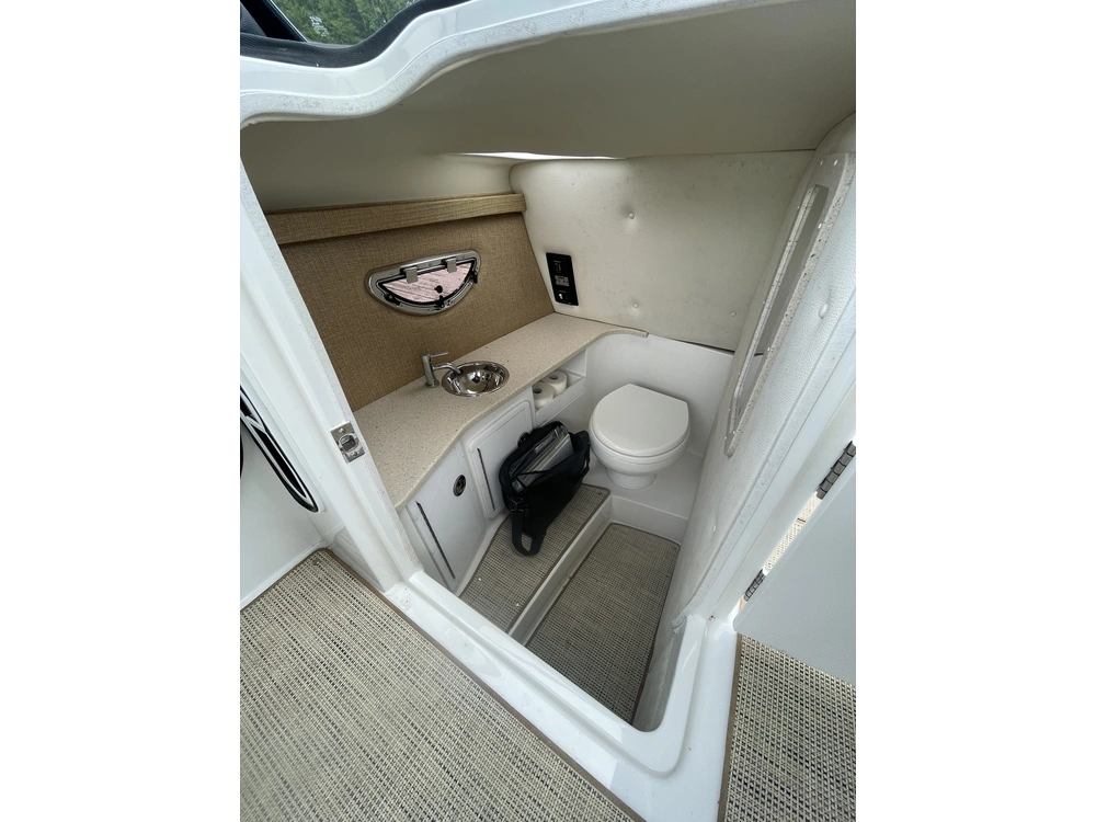 2017 Cobalt Boats R30 alt