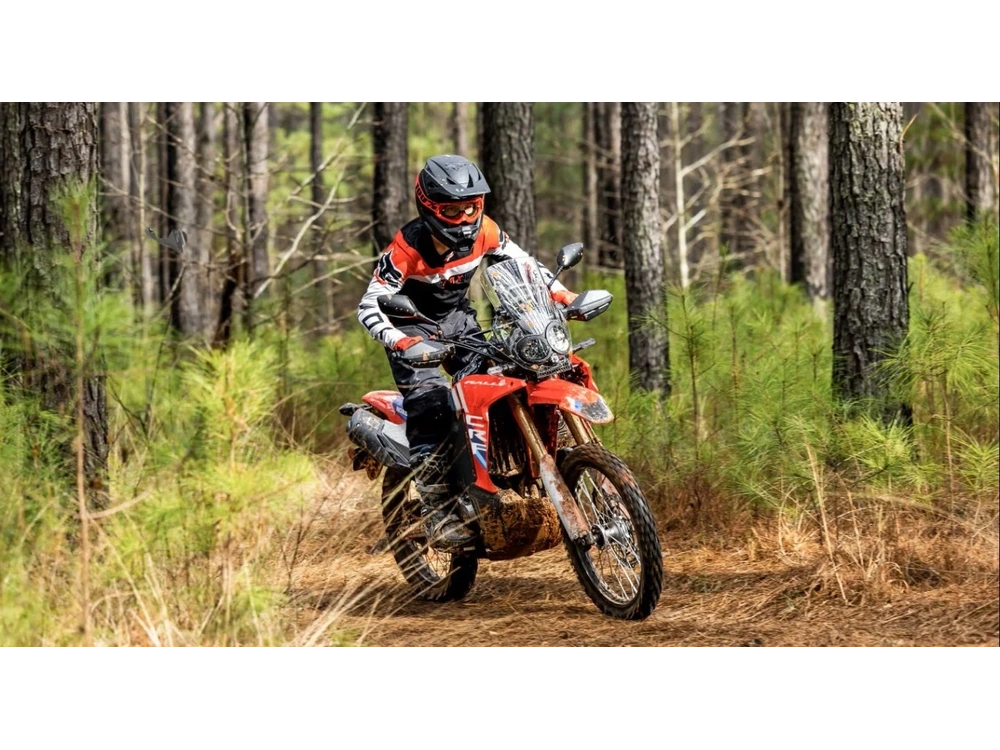 2025 Honda Crf300l Abs alt