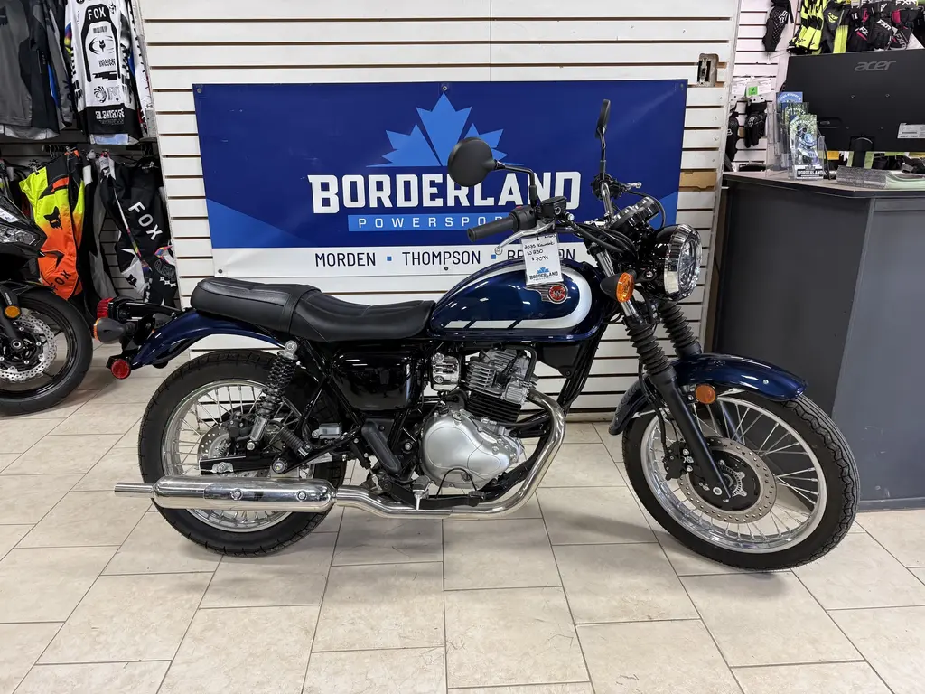 2025 Kawasaki W 230 ABS 