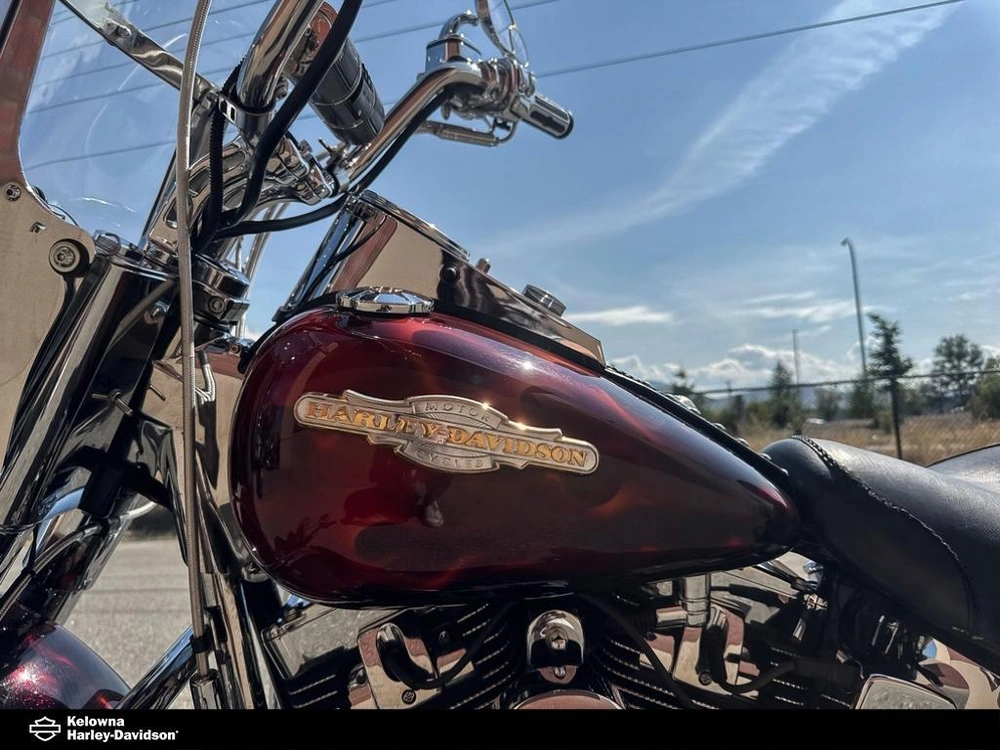 2006 Harley-davidson Flstci - Heritage Softail Classic alt