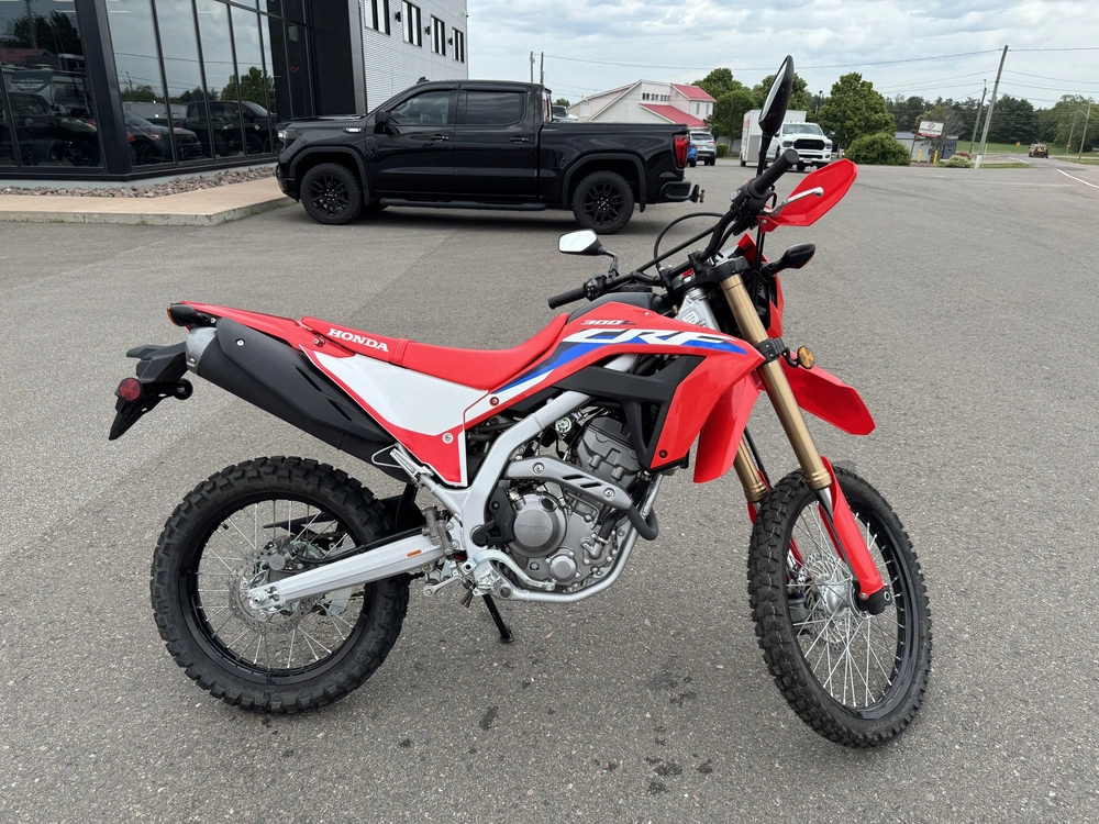 2024 Honda Crf300l alt