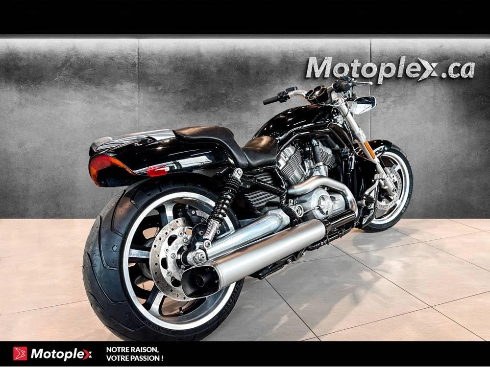 2014 Harley-davidson Vrod Muscle Vrscf alt