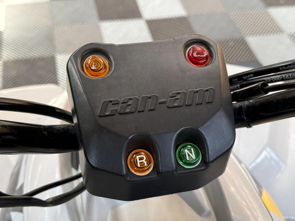 2024 Can-am Renegade 110 alt