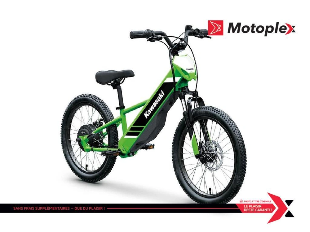 2027 Kawasaki Elektrode 20 alt