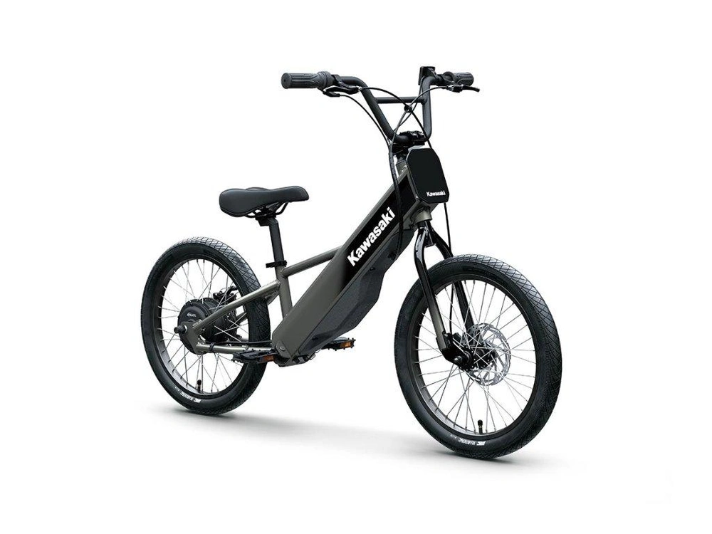 2027 Kawasaki Elektrode 20fs alt