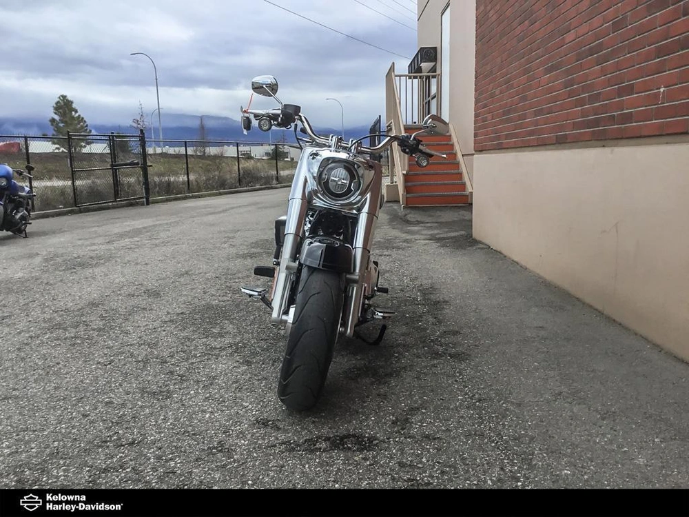 2026 Harley-davidson Flfb - Fat Boy® alt