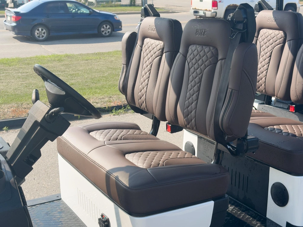 2026 Buzz G4 Standard alt
