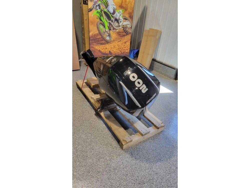 2024 Mercury Fourstroke 200 Hp alt