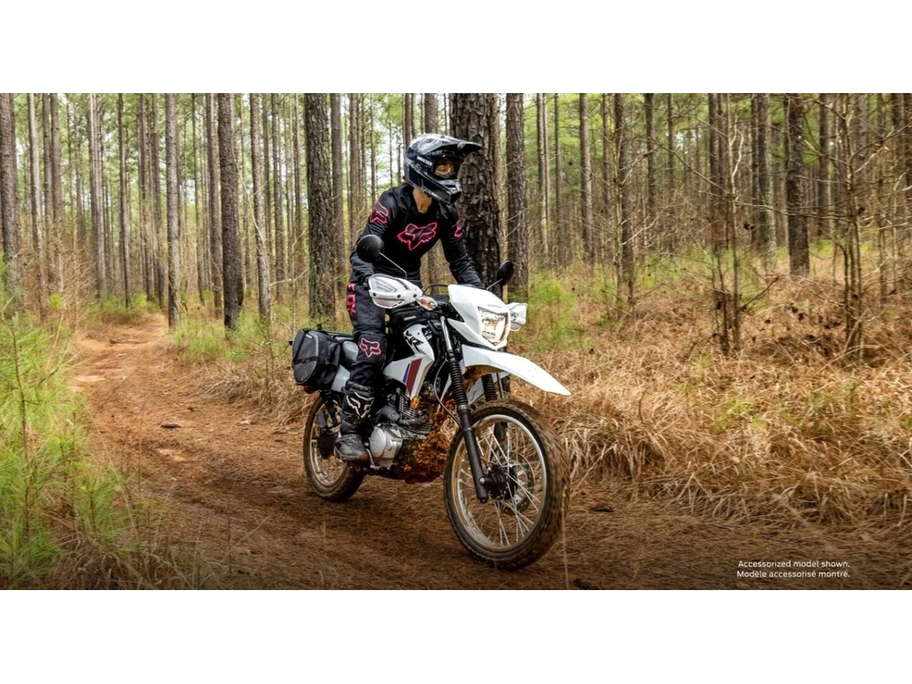 2026 Honda Xr150l Standard Ross White alt