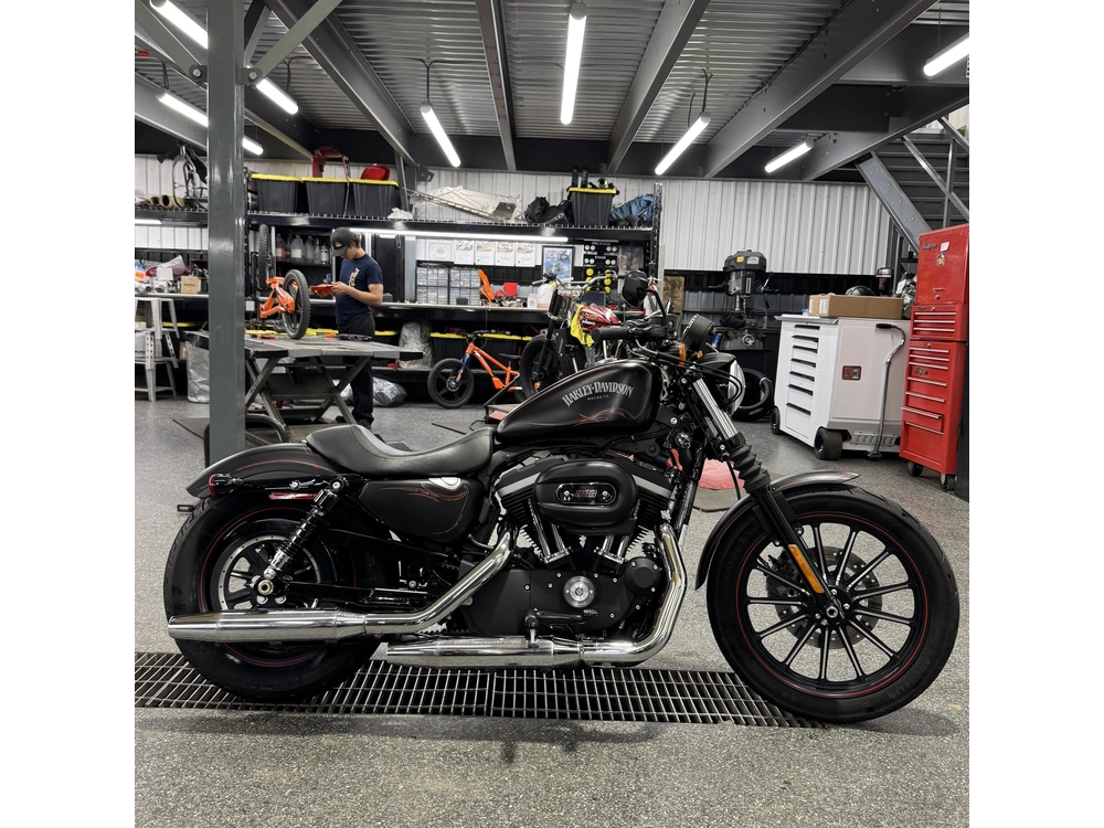 2012 Harley-davidson Xl883 alt