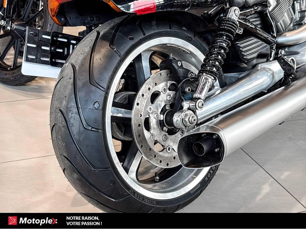 2014 Harley-davidson Vrod Muscle Vrscf alt