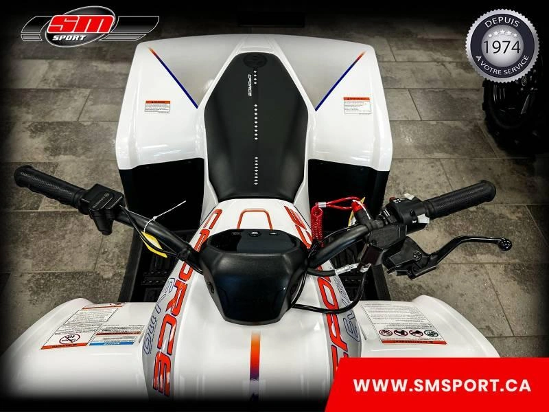 Cfmoto Cforce Ev 110 2024 alt