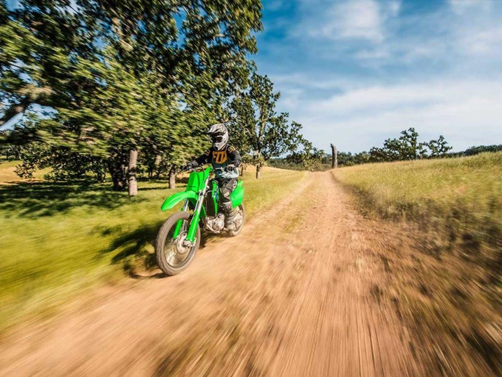 2026 Kawasaki Klx300r alt
