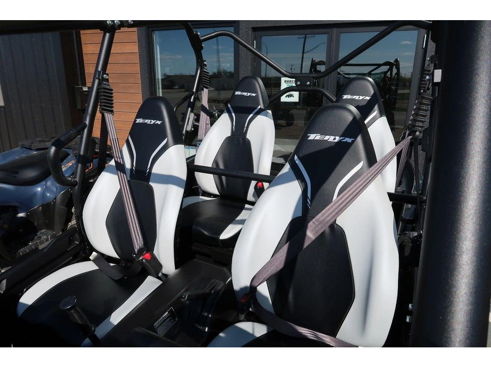 2025 Kawasaki Teryx4 alt