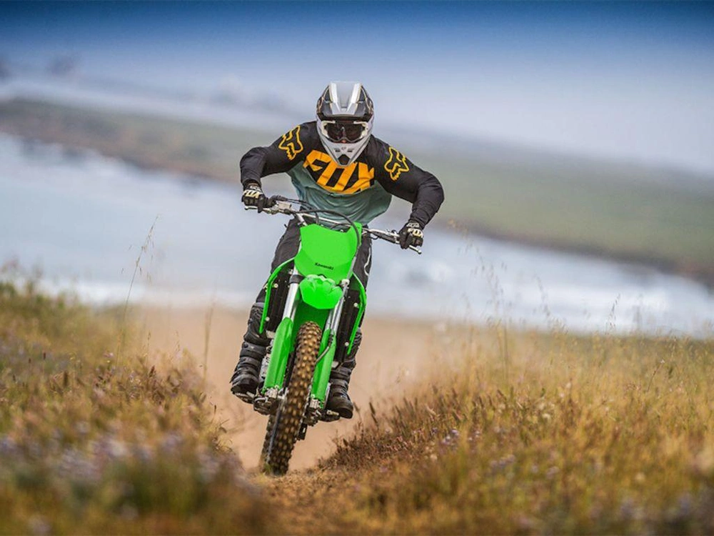 2026 Kawasaki Klx300r alt