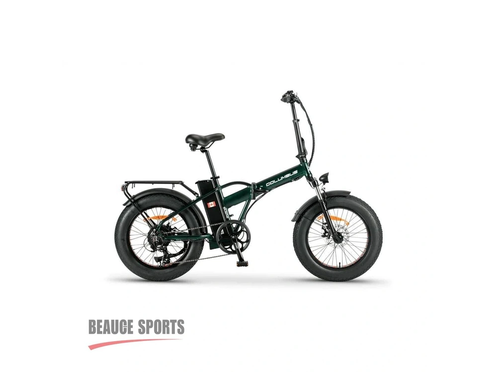 Slane Colombus Plus Vert | 💪 Pliable Puissant Autonomie Longue Alternatives Norco Scene Vlt Cube Hybrid 💪 | 2025 alt