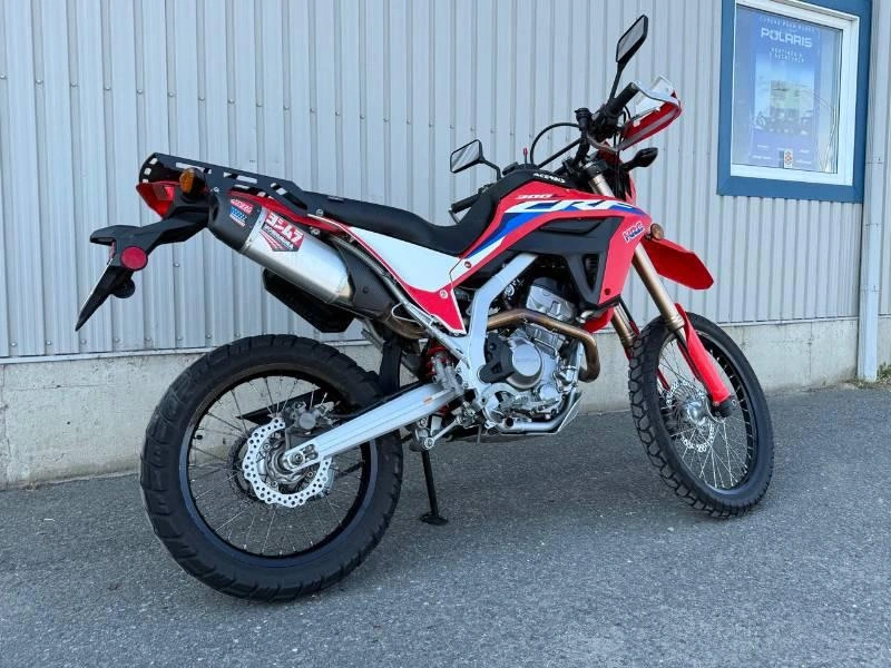 Honda Crf300l 2023 alt