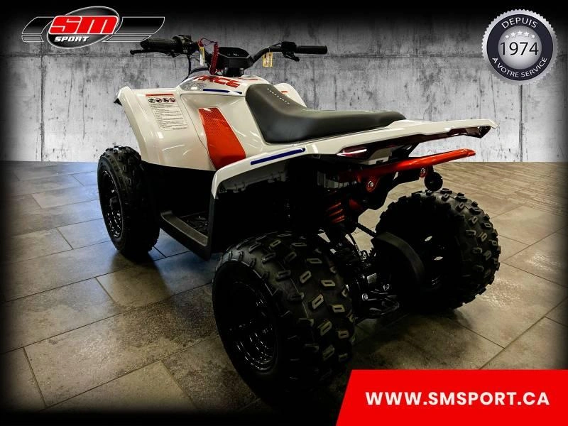 Cfmoto Cforce Ev 110 2024 alt