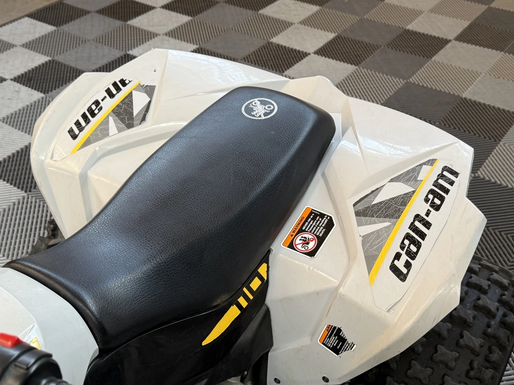 2024 Can-am Renegade 110 alt