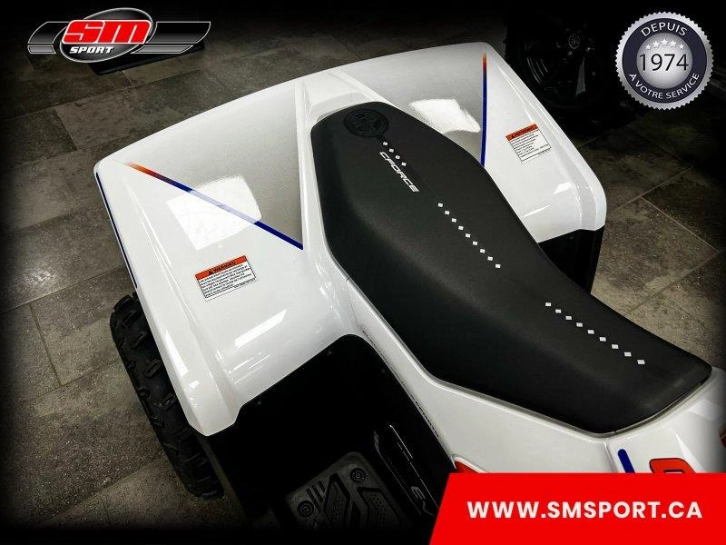 Cfmoto Cforce Ev 110 2024 alt