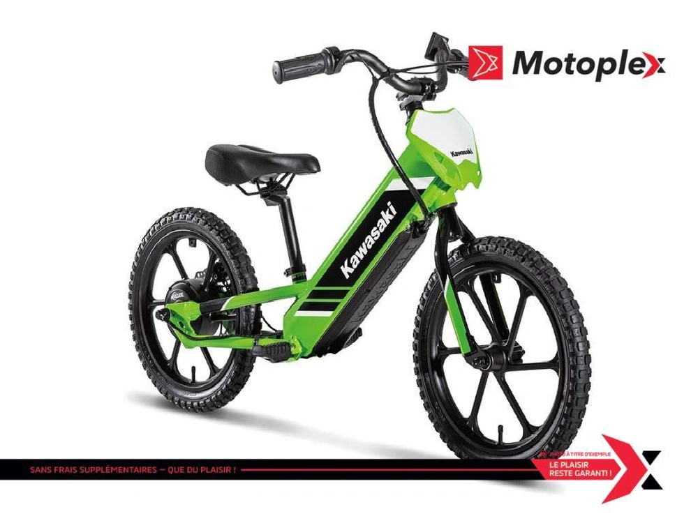 Kawasaki Elektrode 16 2027 alt
