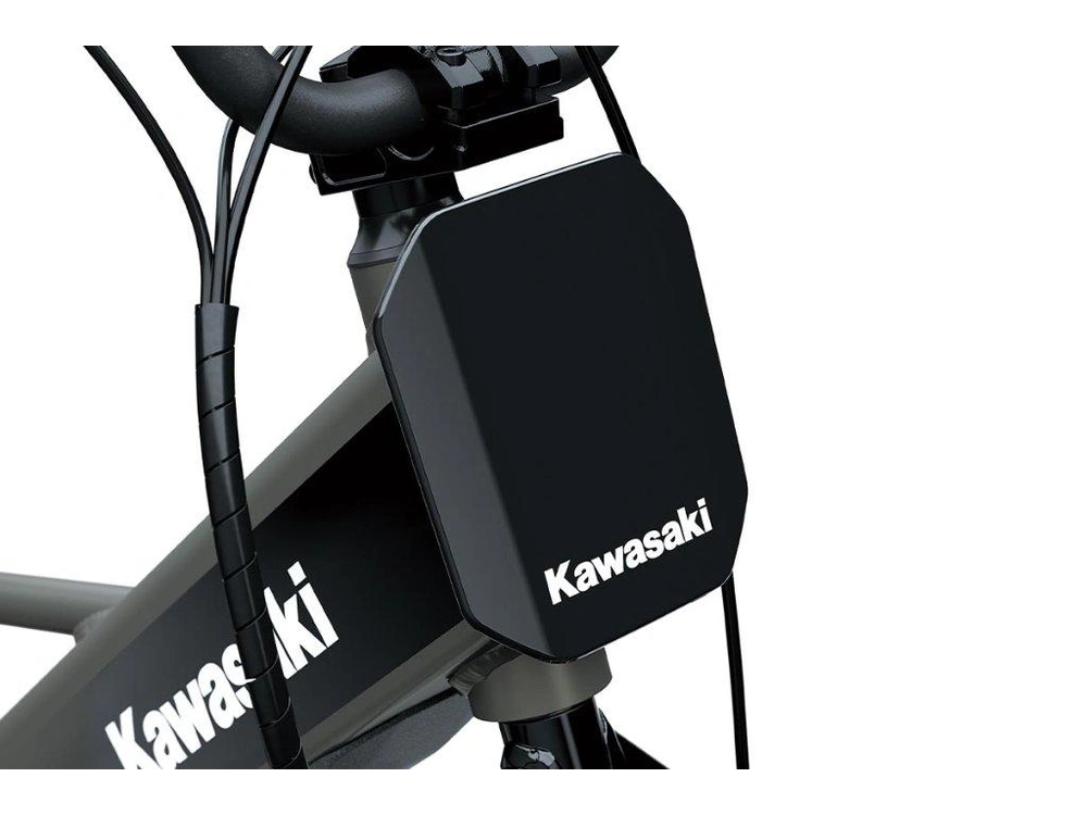 2027 Kawasaki Elektrode 20fs alt